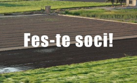 Fes-te soci!