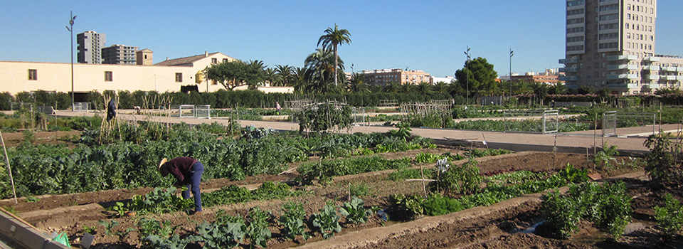 Horts Urbans Municipals LA TORRE