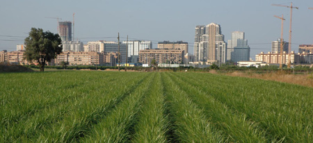 Huerta-ciudad