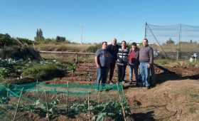 Huerto y Salud Mental