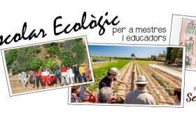 Curs per a mestres d’hort escolar