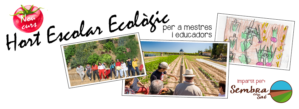 Curs per a mestres d’hort escolar