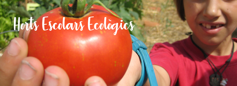 Horts Escolars Ecològics