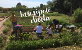 Curs d’Hort Ecològic d’Autoconsum