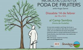 Curs de poda Curs de poda